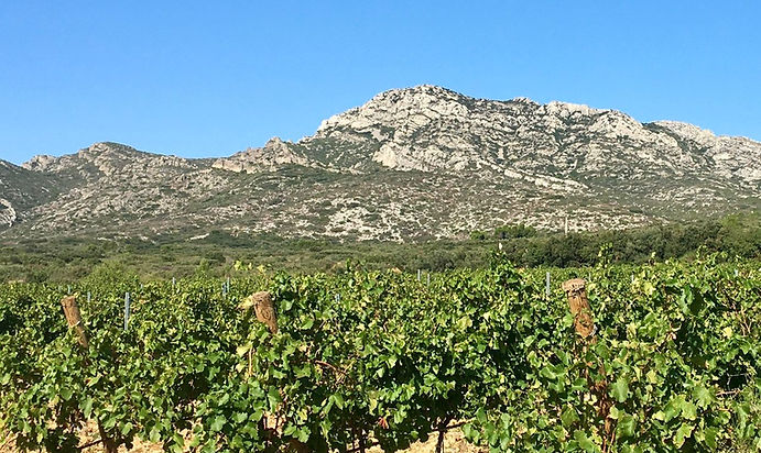 WhatsApp Image 2026-02-28 at 16.09.581.jpeg