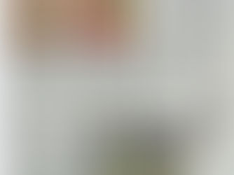 徳島からのお野菜たちが紹介されました♪