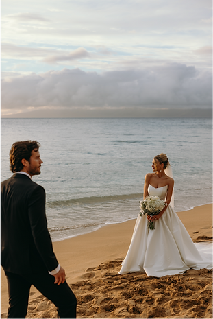 Shannon Wolfe Photography-016_edited_edited.png