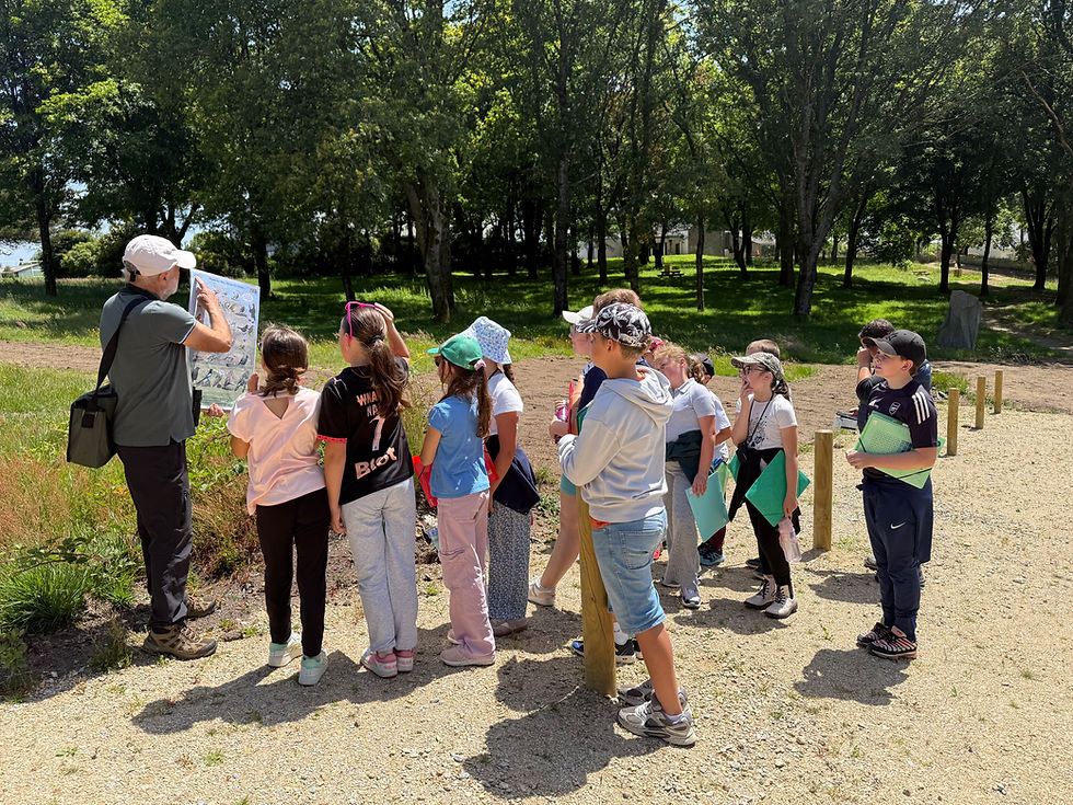 Coulée verte et biodiversité : les élèves du RPI agissent pour leur commune !