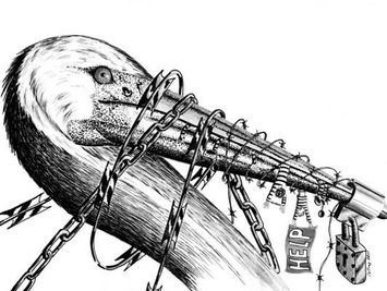 Is Force-feeding Torture?