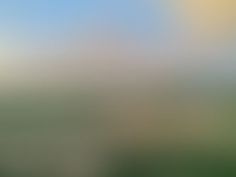 Putting a Stop to Ethnic Cleansing in a growingly realist world: The Rohingya and the ICC