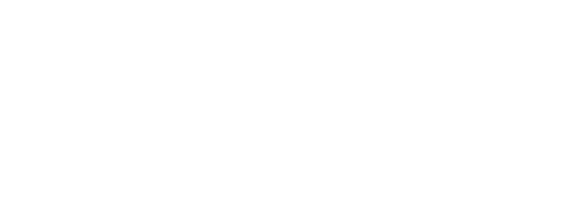 White Butterfly Vector Image