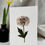 Thumbnail: Cornflower Greeting Card