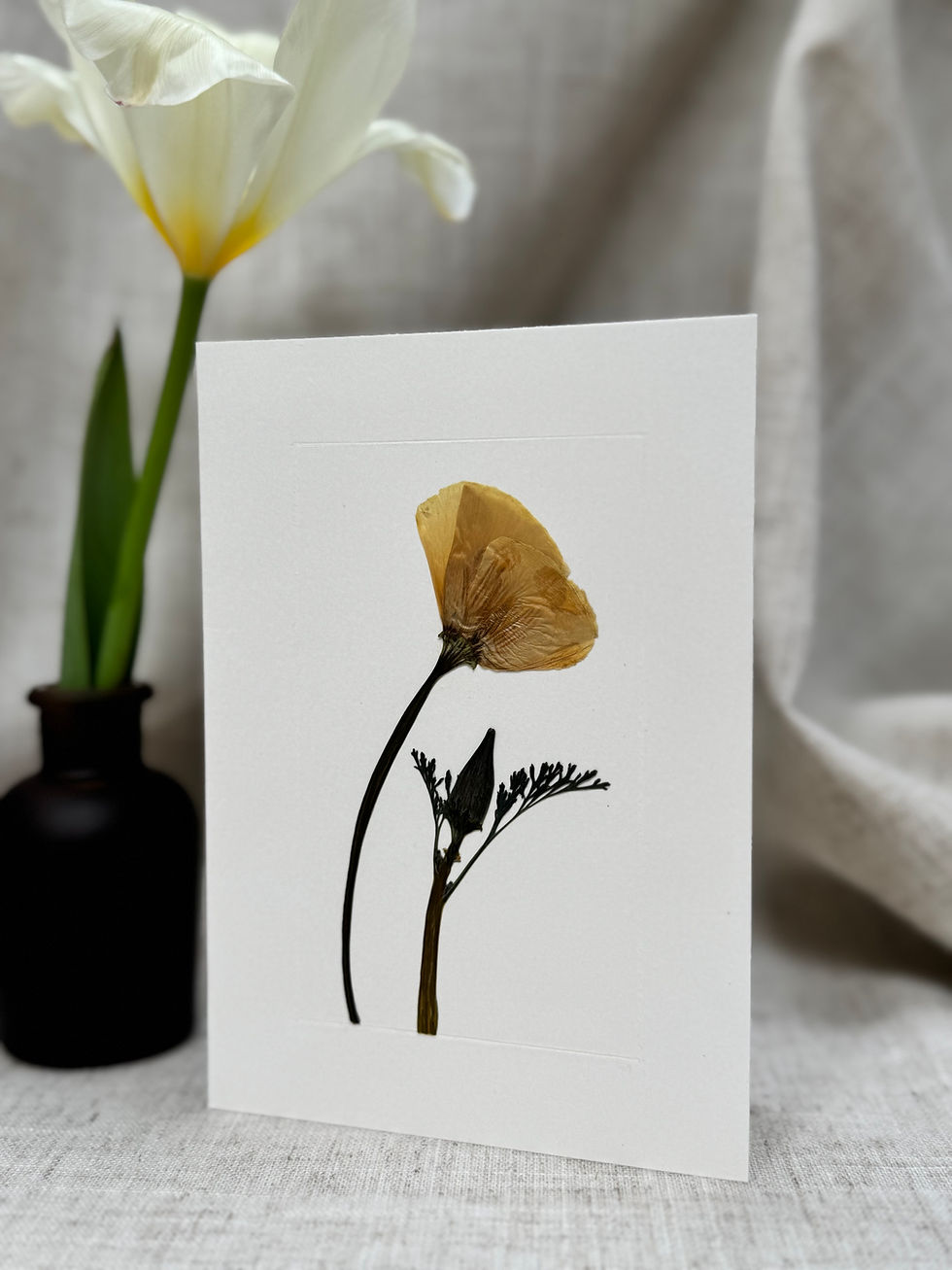 California Poppy 'Orange King' Greeting Card