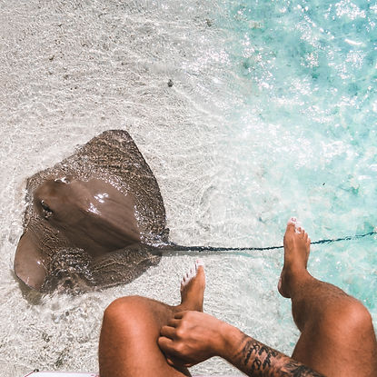 The Wanderlovers Maldives angsana velavaru resort island luxury overwater stingray marine life