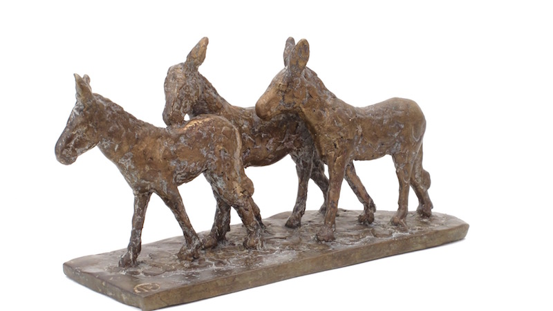 Donkeys from Bonaire