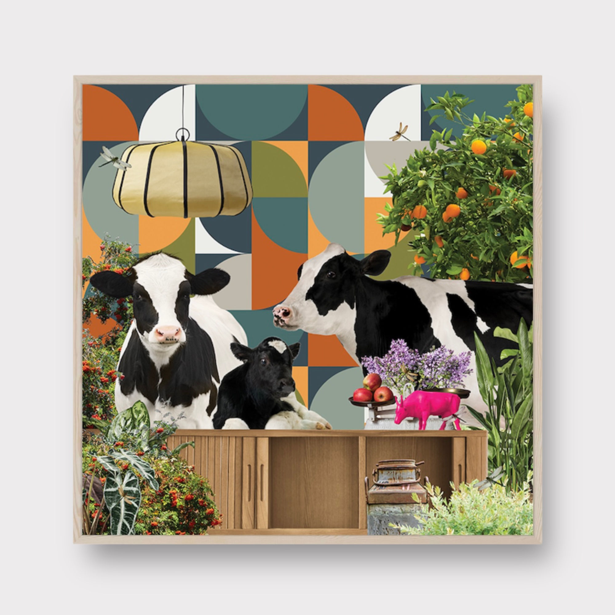 BOXFRAME - Three Cows Waiting