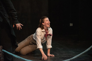 "Shipwrecked! An Entertainment, The Amazing Adventures of Louis de Rougemont"