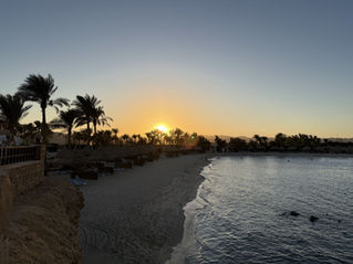 Diving vacations at the Mövenpick Resort El Quseir, Egypt