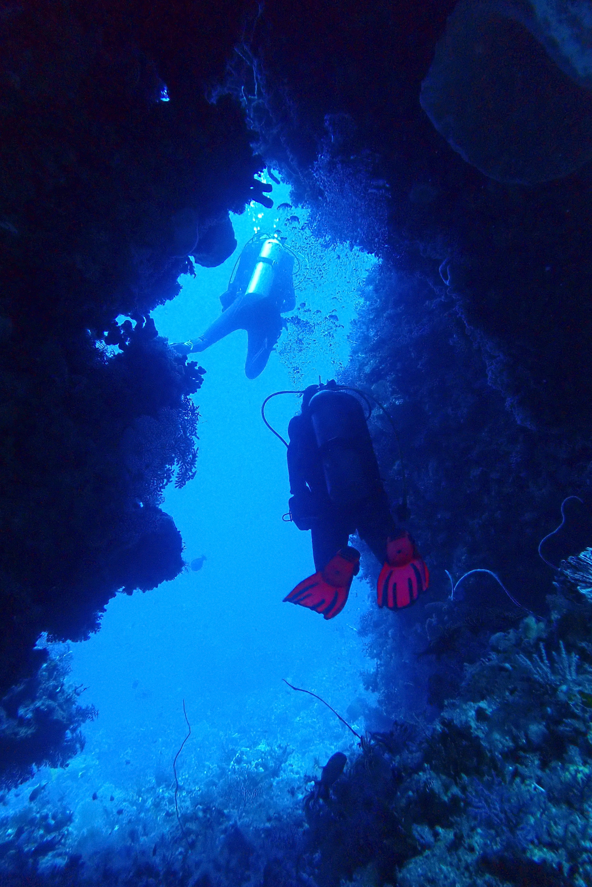 Wolang Cave - Alor, Indonesien