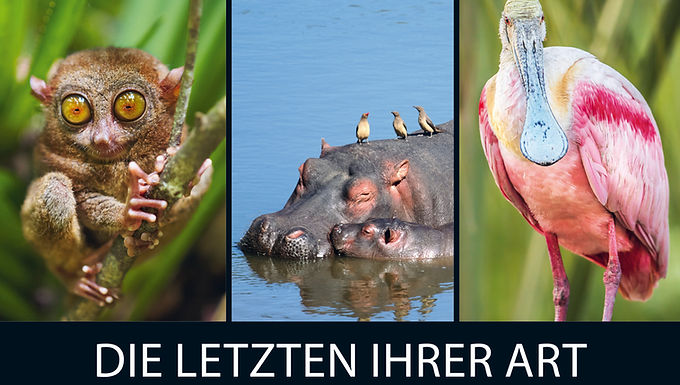 BILDKALENDER