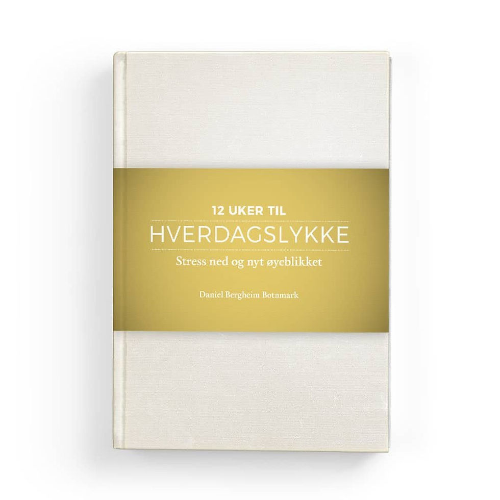 Hverdagslykke