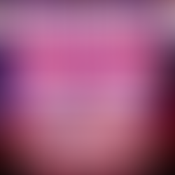 Dinner Before the Pink Floyd Tribute in Sandwich, IL