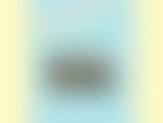 3月8日(土)
