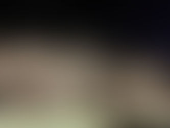 3月28日(土)活動日記🌸