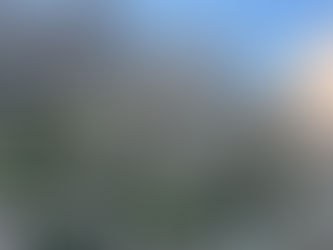 4月11日(土)の活動