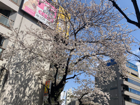 ４月５日（土）