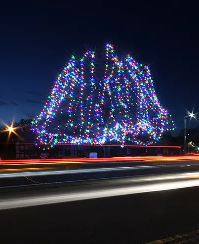 Willaston Christmas Tree