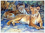 Noon Break-acrylic.jpg