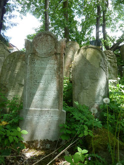 P1620788