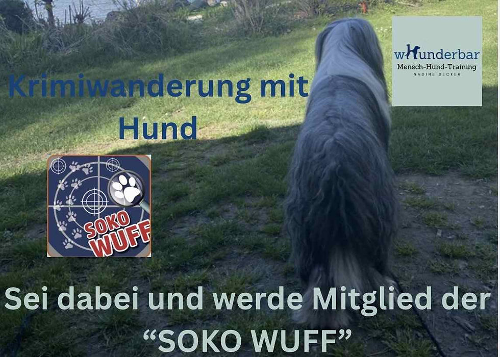 'SOKO Wuff' - Der Tote im Weiher - Krimiwanderung mit Hund am Sägmühler Weiher