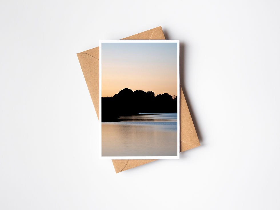 Thumbnail: Creery Wetland Dawn - portrait