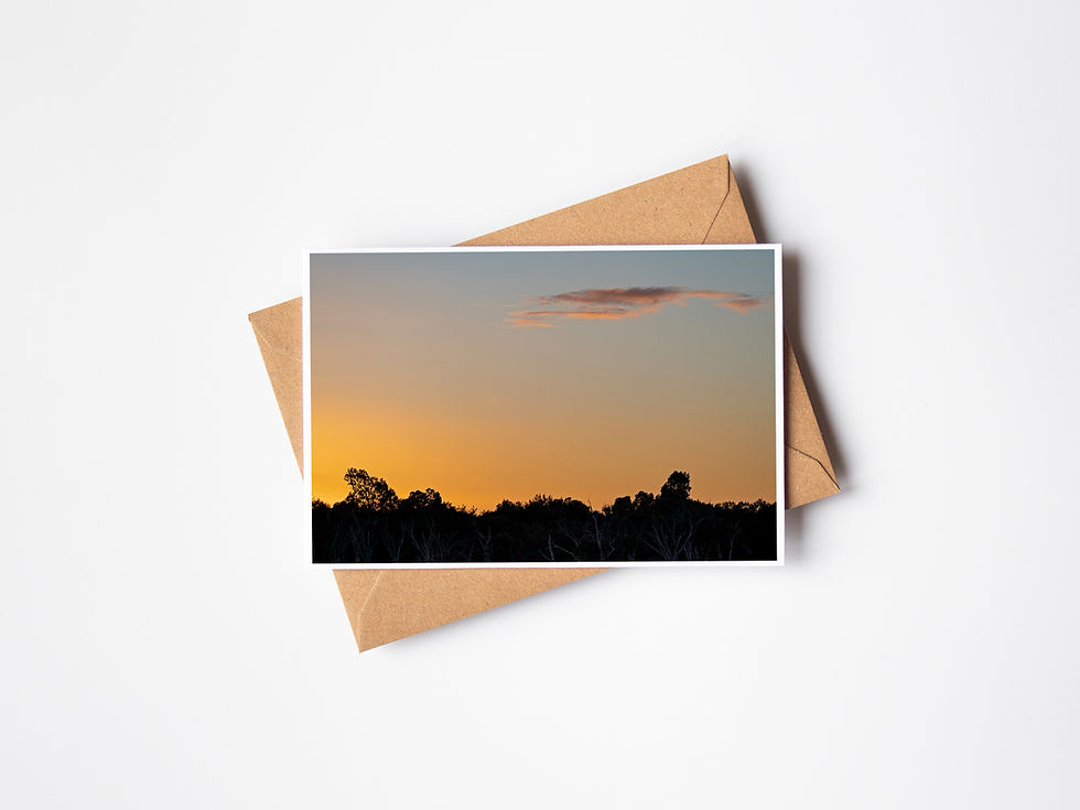 Thumbnail: Creery Wetland Dawn Trees