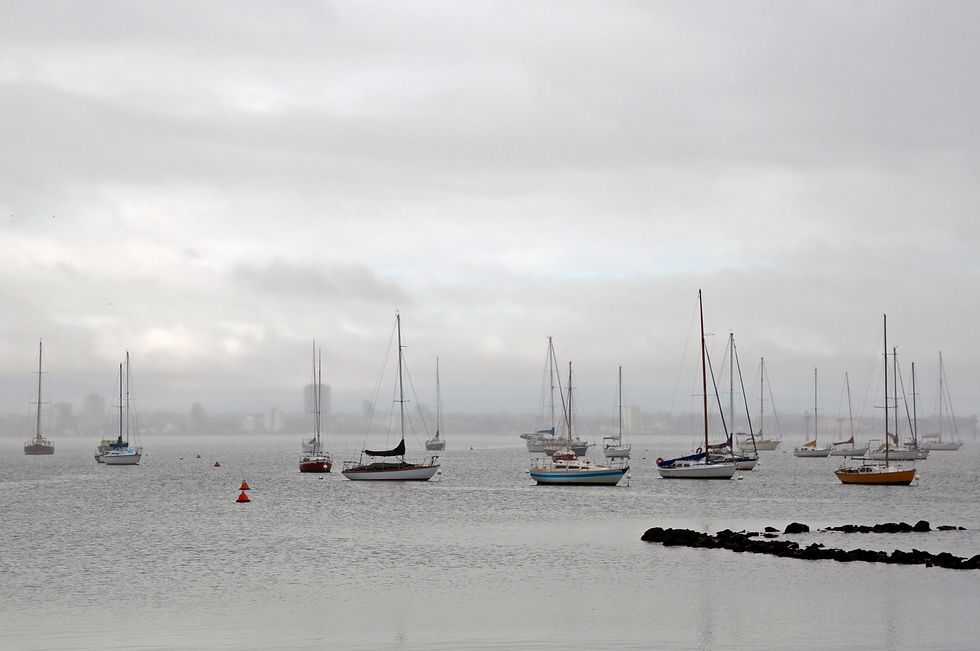 HIGHLY COMMENDED: "Williamstown Yachts"