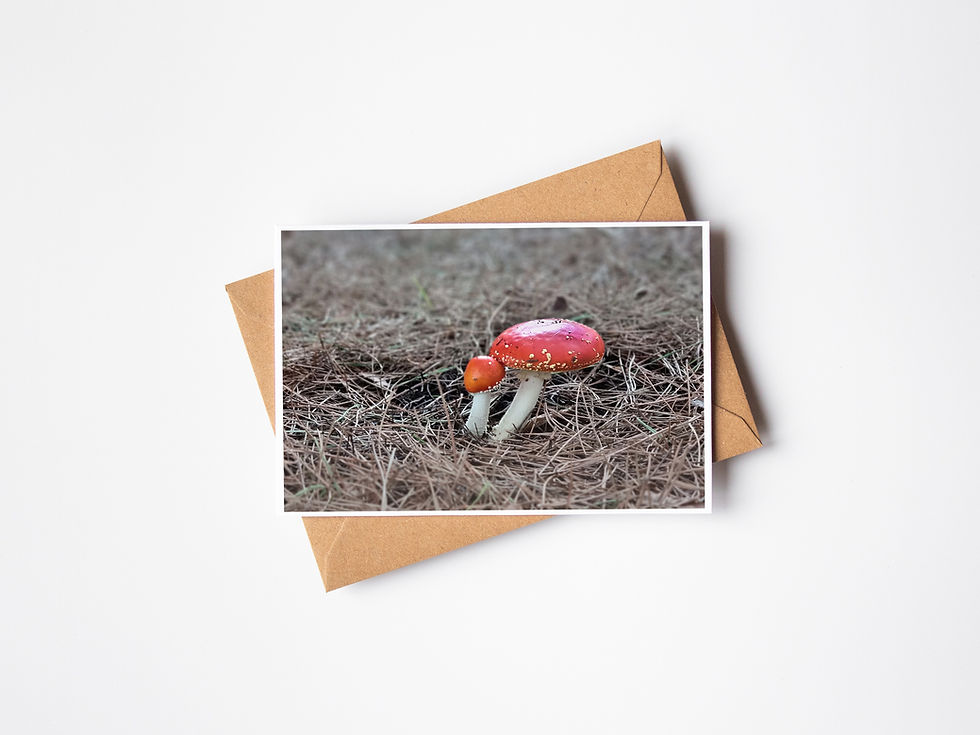 Thumbnail: Fairy Homes, WA
