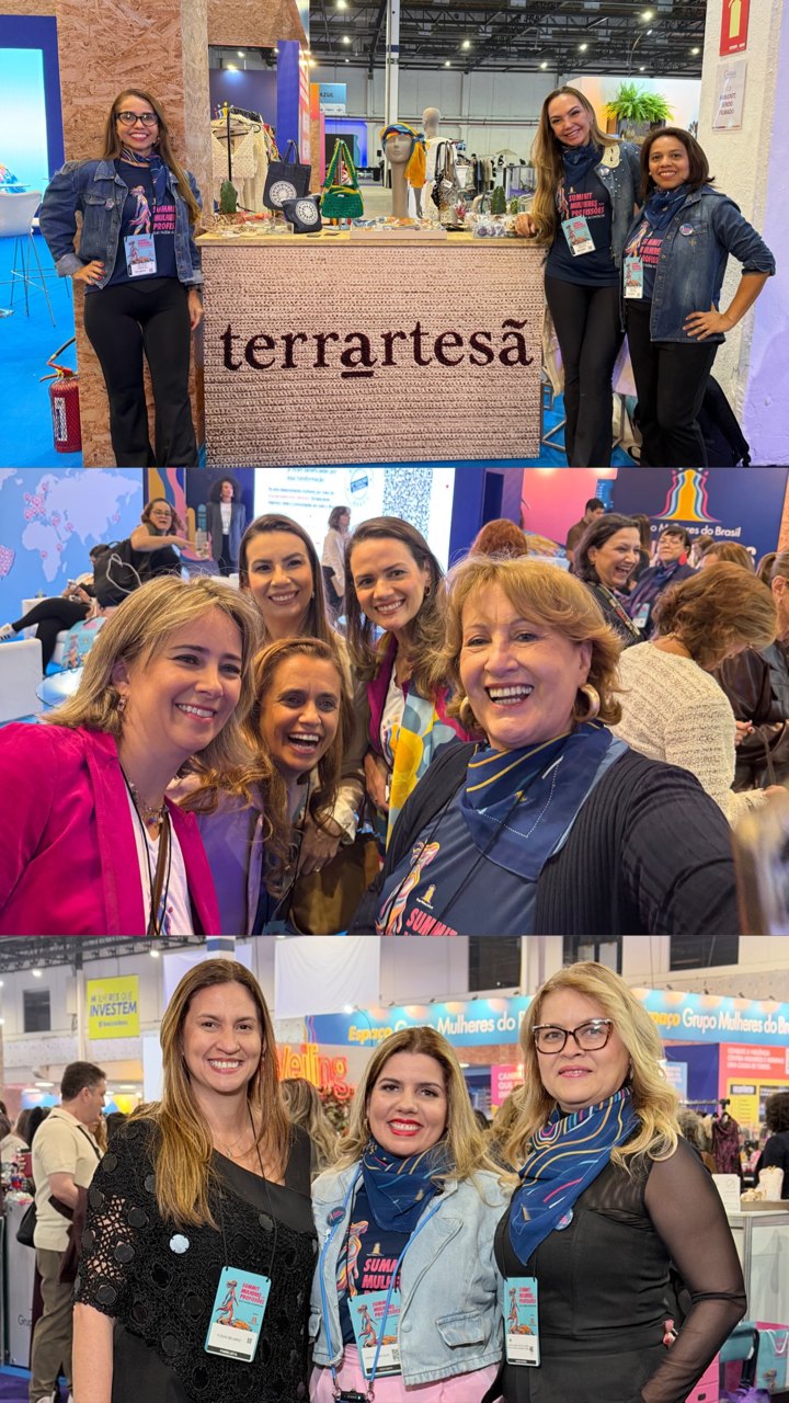 Stories do Summit Mulheres nas Profissões