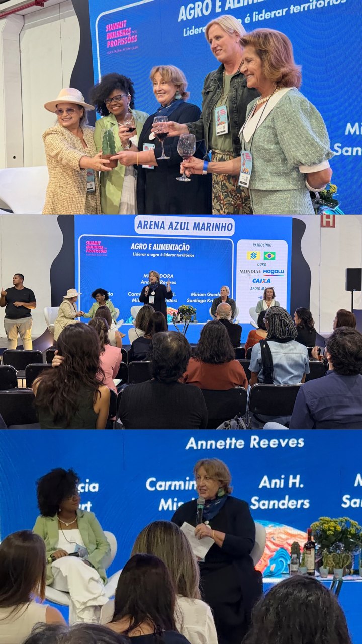 Stories do Summit Mulheres nas Profissões