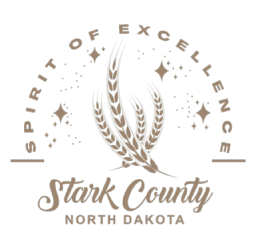 Stark County Spirit of Excellence_edited.png