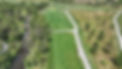 13 Hole.JPG
