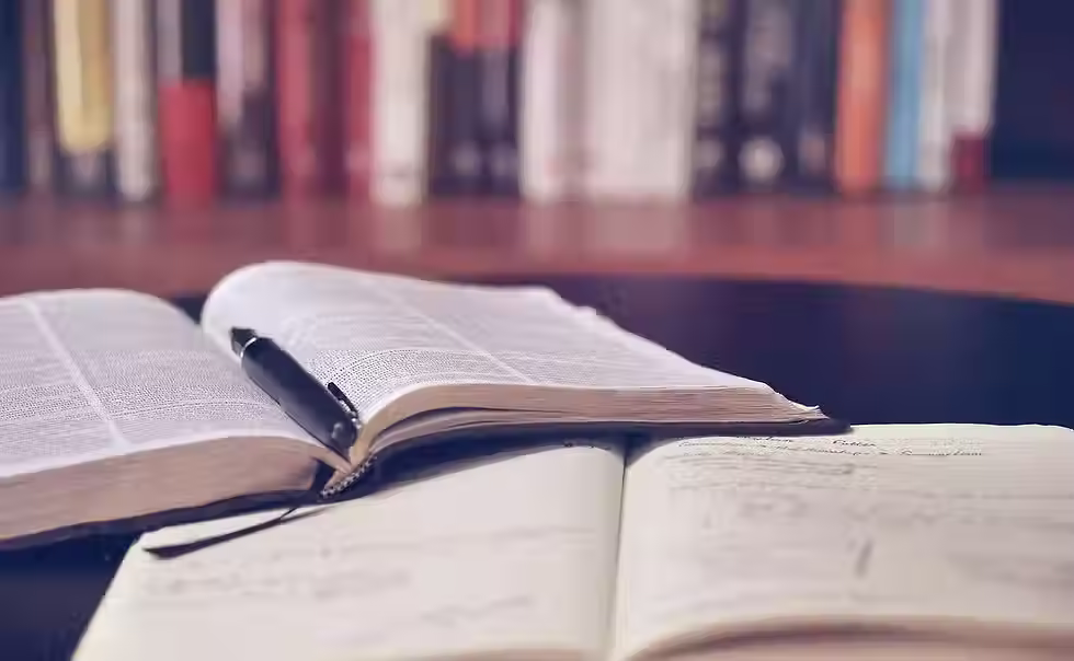 ppt-cippus-book.avif