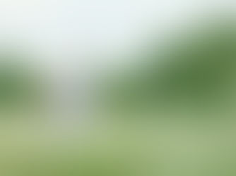 Financial Planning with Jan Levine