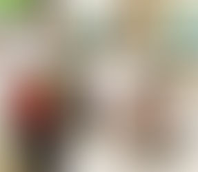 Relatório de Atividades cognitivas