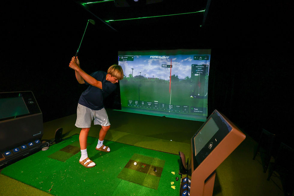 Pukekohe_golf _simulator.jpg