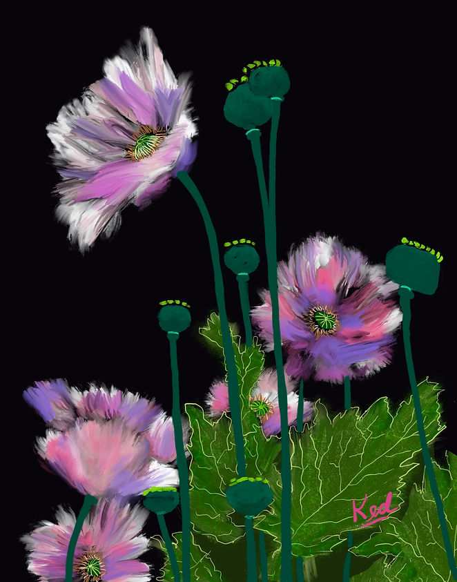 Eclectic_Poppies.jpg
