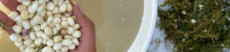 IMG_8040_edited.jpg