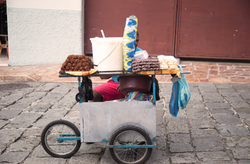 MAN MADE GALAPAGOS11