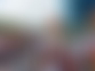 'Sinterklass' event photography