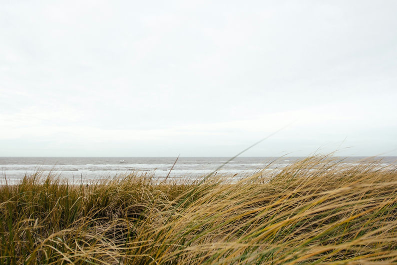 alex-talmon-umq-jgTjr28-unsplash.jpg