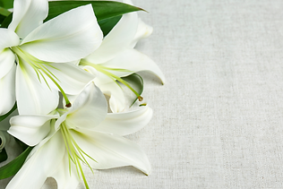 Imagem (Produtos e Atualidades).png