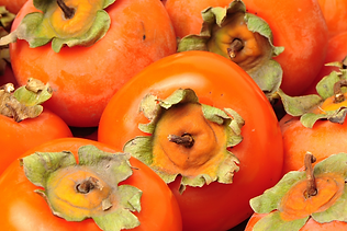 Cópia de Site - imagens dos textos (1).png