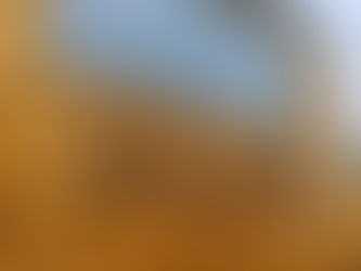 Wooden building with large window, "SAUNA" spelled in rustic wood letters on the front. Overcast sky reflects on the glass.