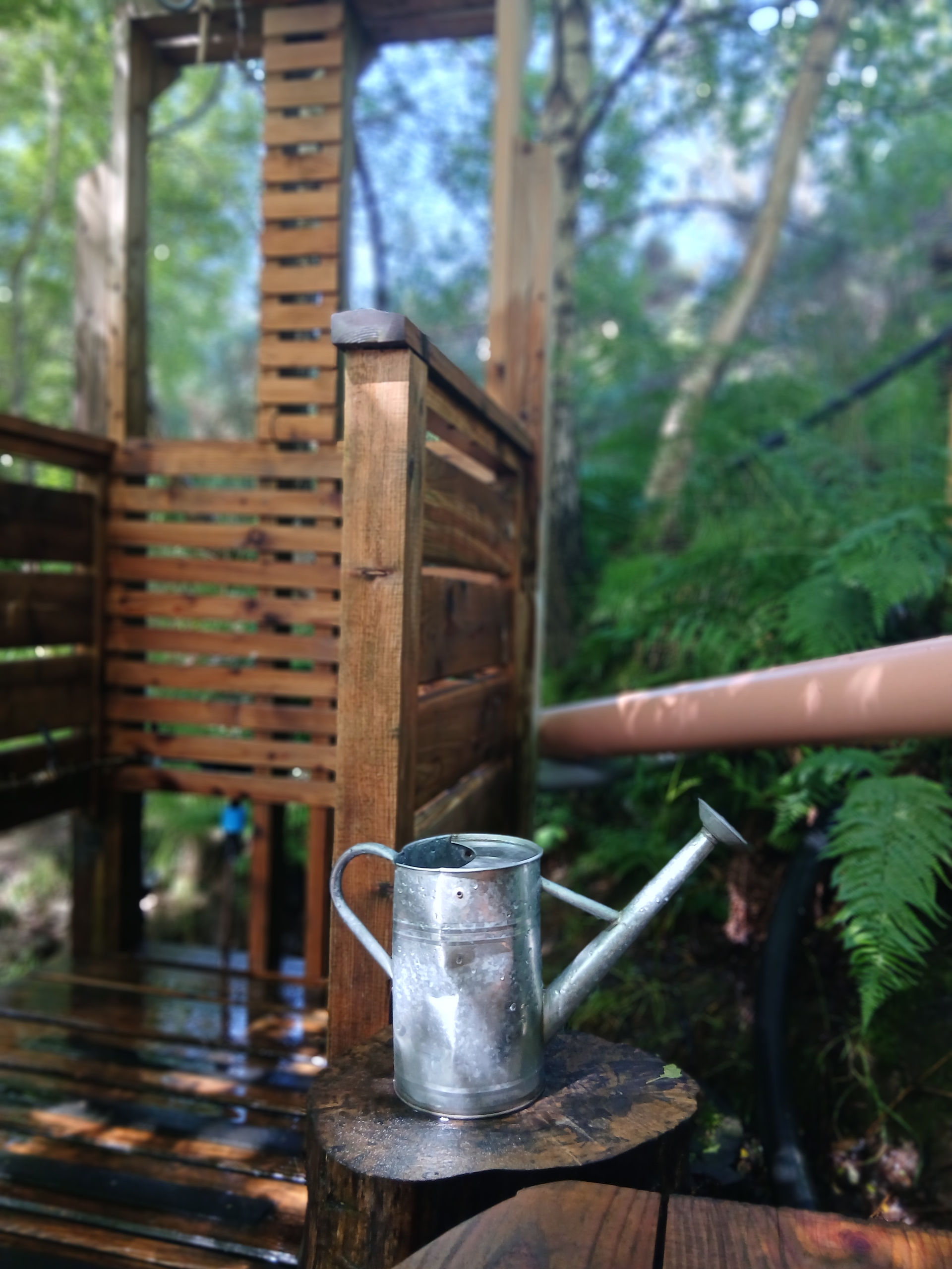 Watering can on wooden deck with drench shower in background