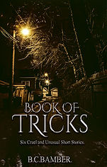 book_of_secrets__ebook.jpg