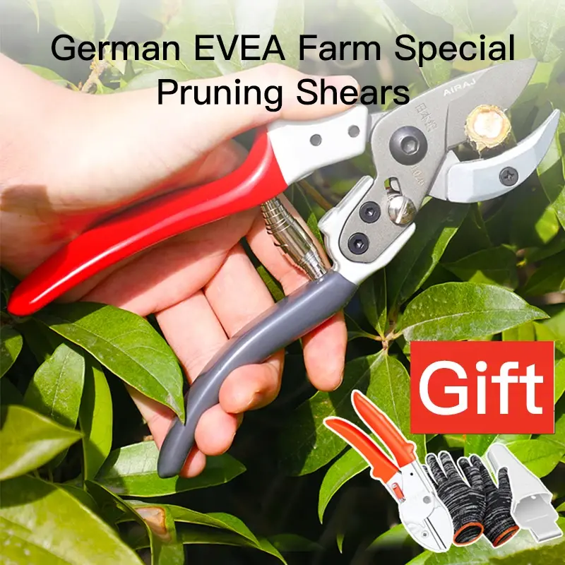 Thumbnail: Gardening Pruning Shears