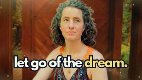 FREEING Yourself from the *Trans* American Dream
